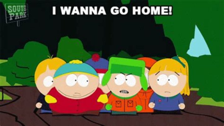 I Wanna Go Home Meme: Exploring Its Origins, Cultural Impact, and Evolution